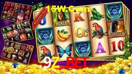 9Z Bet Rio de Janeiro - Slot Strategy